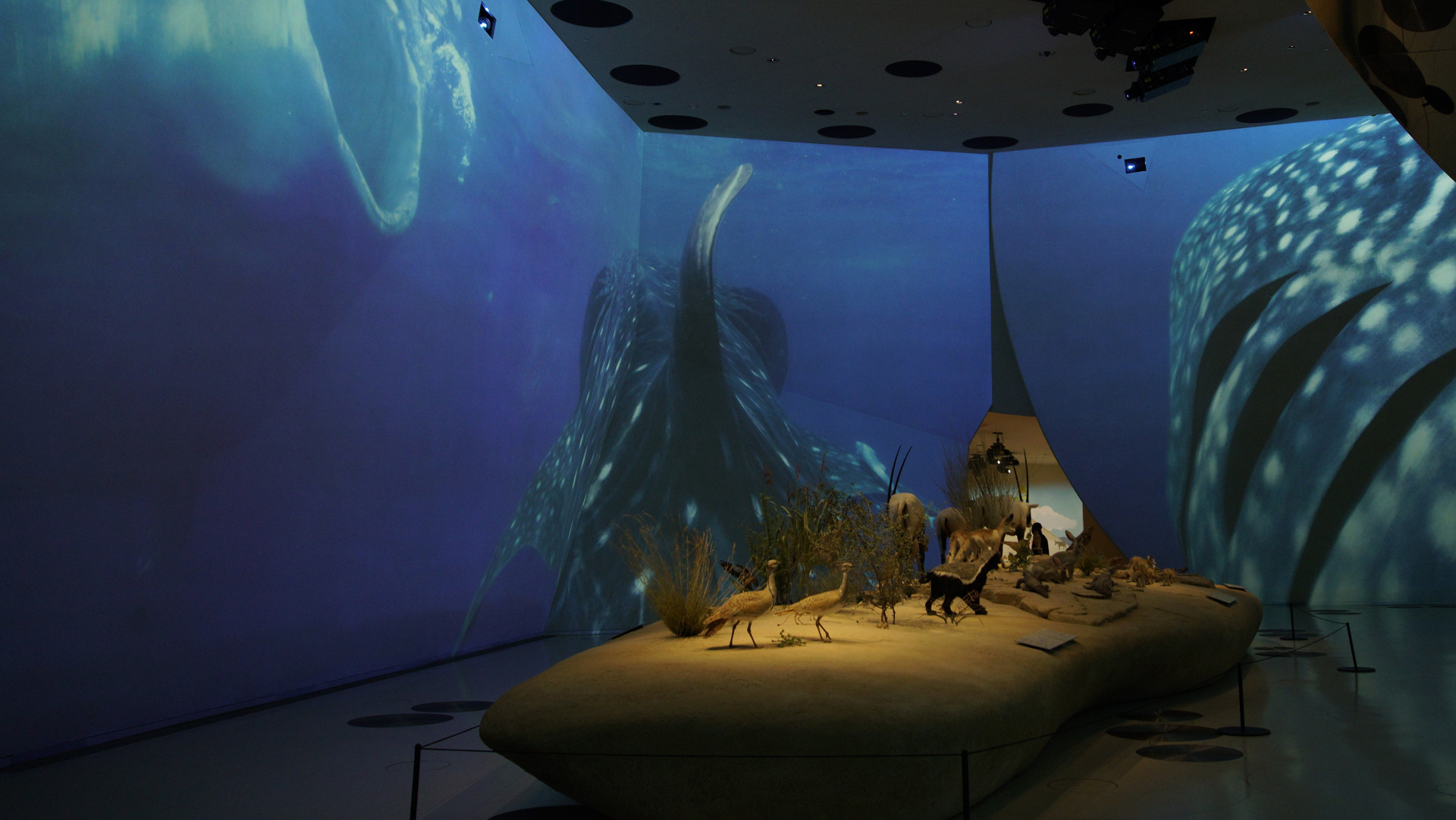 National Museum of Qatar